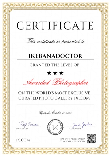 1x.com の証明書「★★★ Awarded Photographer」（Ikebanadoctor・Uppsala, 2026年10月15日発行）