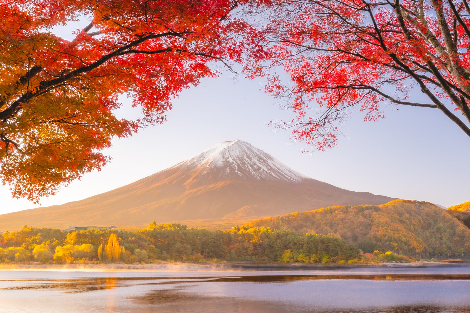 富士山ともみじ