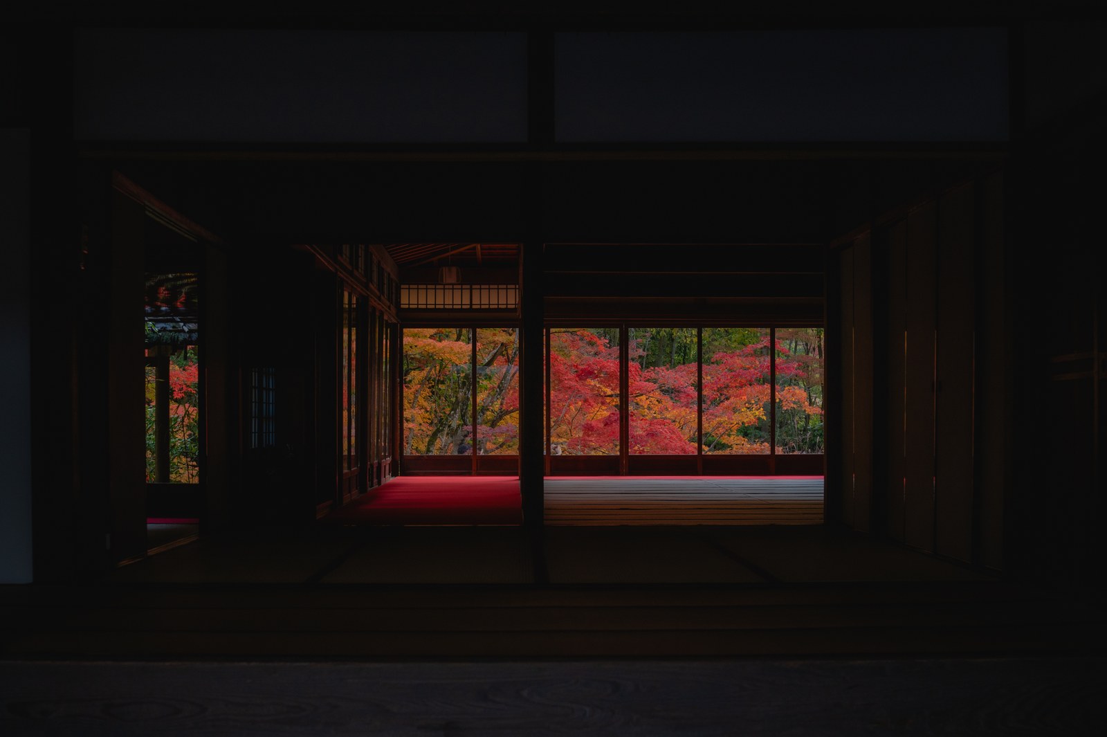 Autumn maples reflected in the pond, framed like a painting by the pillars of Nanzen-in's study hall