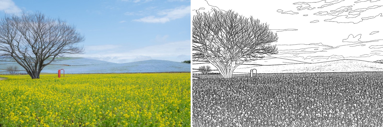 Sample spread: the photograph of Hitachi Seaside Park on the left, its line drawing on the right