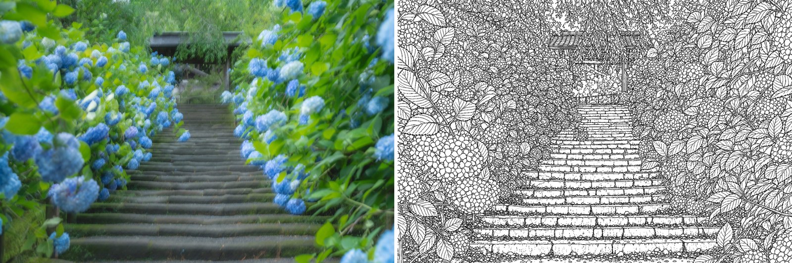 Sample spread: the photograph of Meigetsuin Temple on the left, its line drawing on the right
