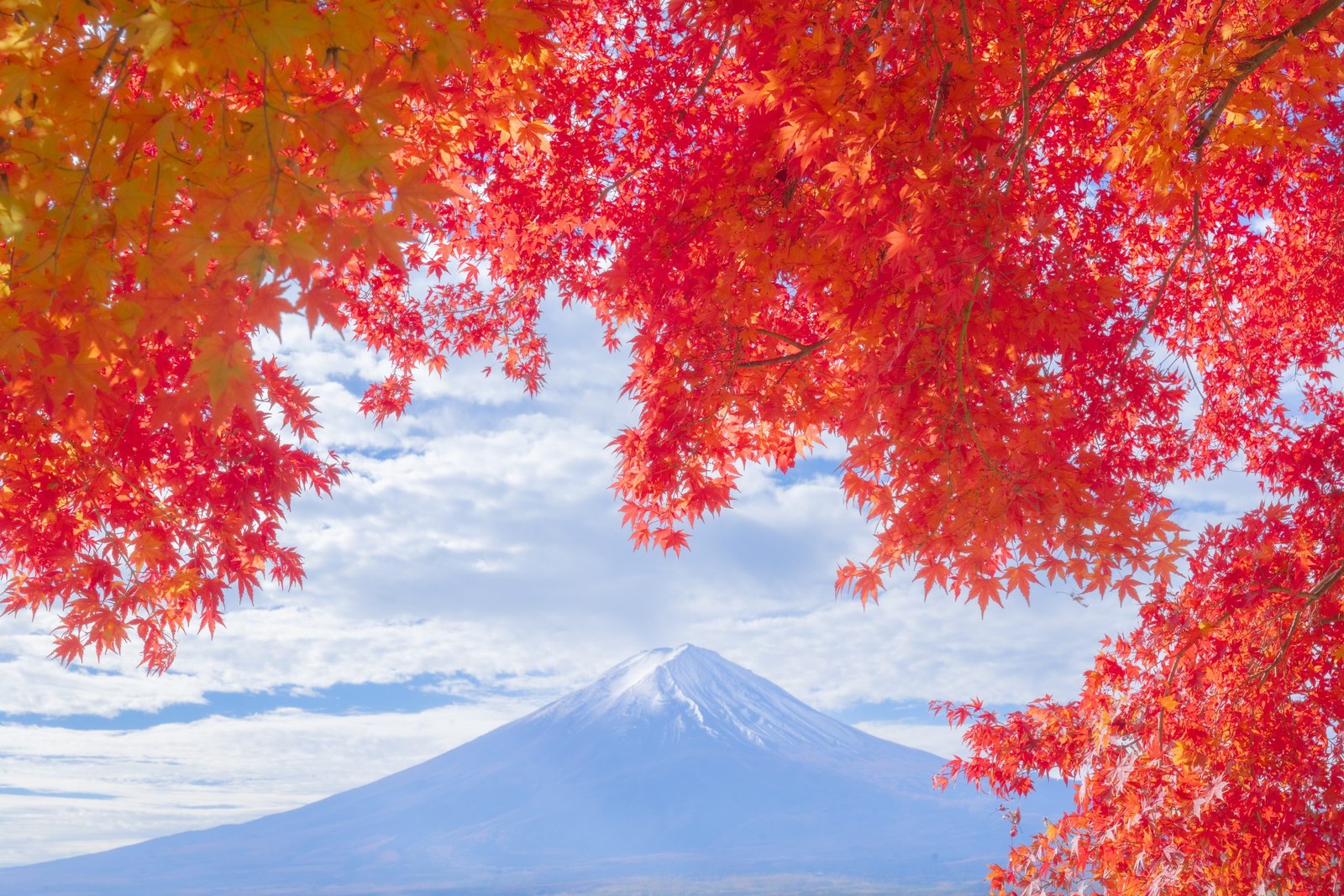 Lake Kawaguchiko, Yamanashi — November
