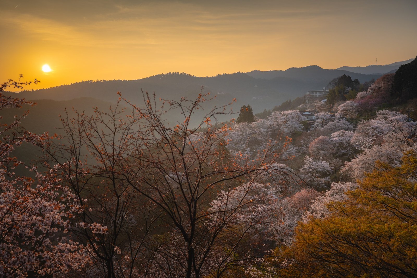Mt. Yoshino, Nara — April