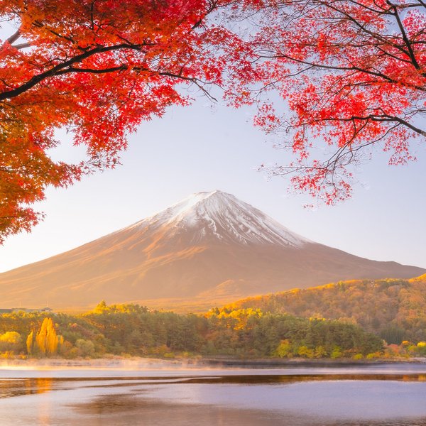 収録写真：紅葉と富士山