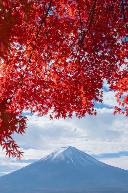 河口湖の富士と紅葉に 01 薄霞 を適用した作例