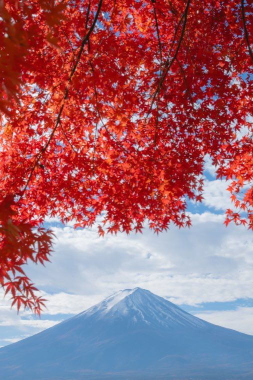 河口湖の富士と紅葉に 02 光の膜 を適用した作例