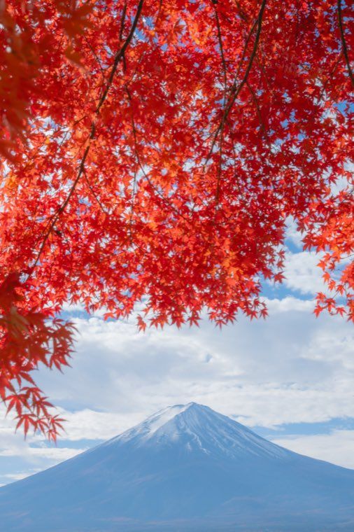 河口湖の富士と紅葉に 03 濃霞 を適用した作例