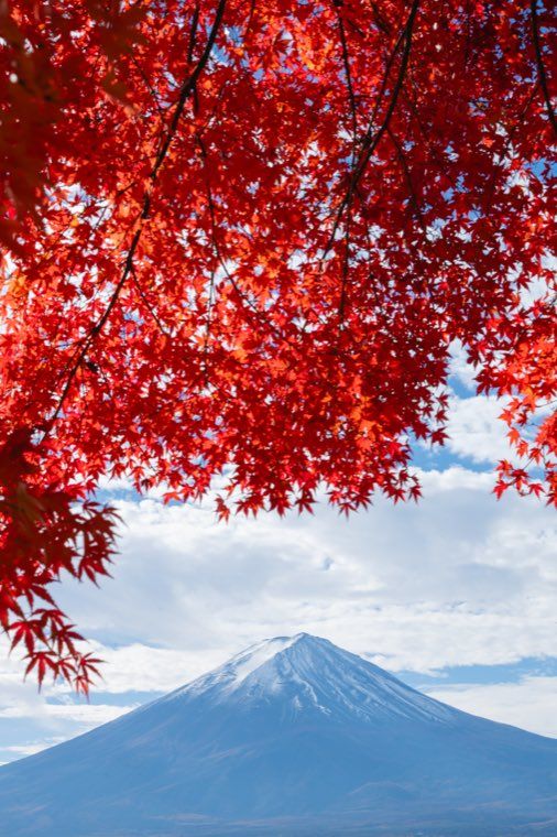 河口湖の富士と紅葉に 04 静かな余白 を適用した作例