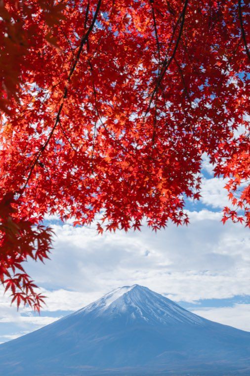 河口湖の富士と紅葉に 05 逆光霞 を適用した作例