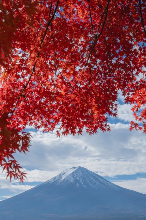 河口湖の富士と紅葉に 06 朝光霞 を適用した作例