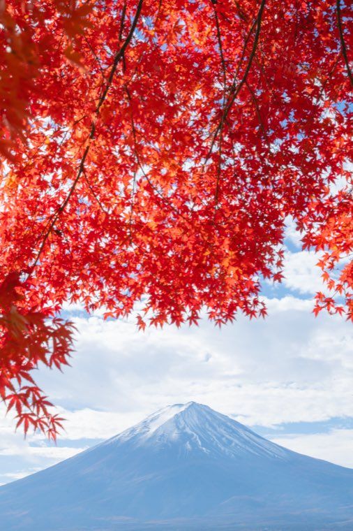 河口湖の富士と紅葉に 07 彩りの目覚め を適用した作例