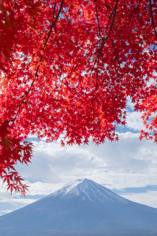 河口湖の富士と紅葉に 08 春彩のひかり を適用した作例