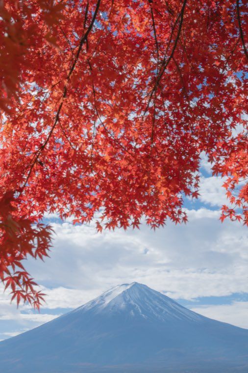 河口湖の富士と紅葉に 10 青庭ににじむ を適用した作例