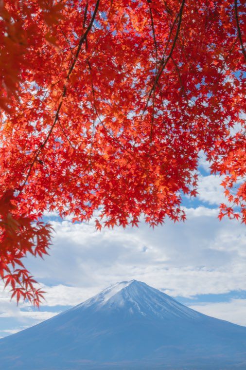 河口湖の富士と紅葉に 11 深緑にとける を適用した作例