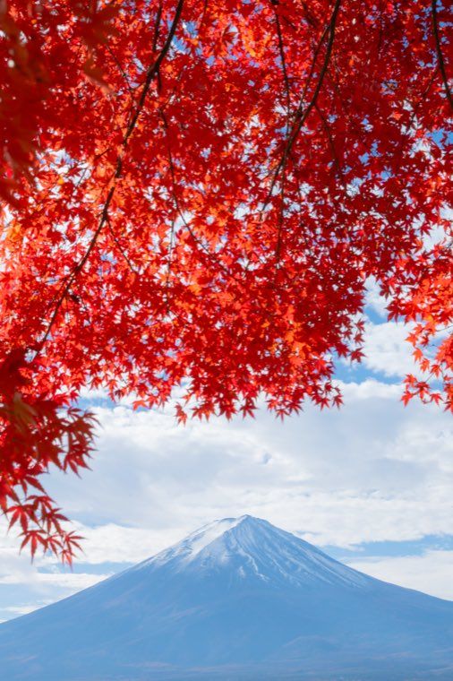 河口湖の富士と紅葉に 13 光の帯 を適用した作例