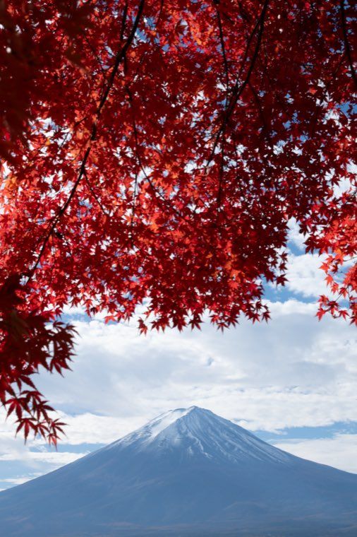 河口湖の富士と紅葉に 19 主題をやわらげる を適用した作例