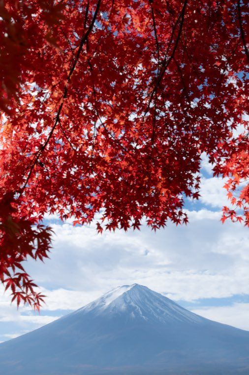 河口湖の富士と紅葉に 20 周辺のとろけ を適用した作例