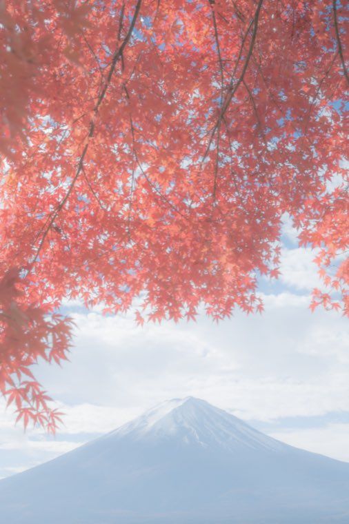 河口湖の富士と紅葉に 22 朝霧のベール を適用した作例