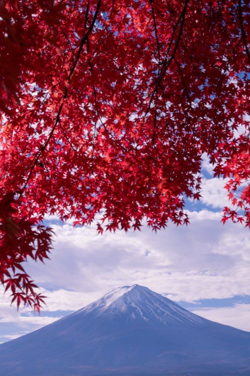 河口湖の富士と紅葉に 24 薄暮のしじま を適用した作例