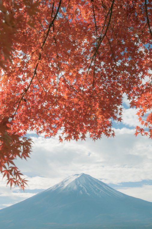 河口湖の富士と紅葉に 25 穏やかなフィルム を適用した作例