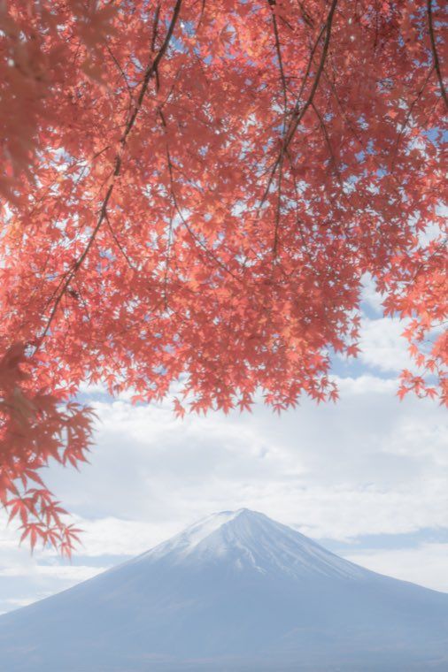 河口湖の富士と紅葉に 26 淡彩の水彩 を適用した作例