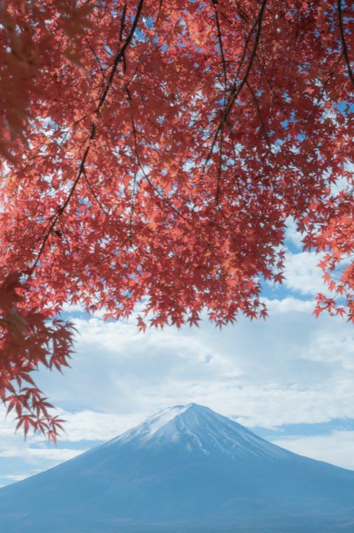 河口湖の富士と紅葉に 27 曇天の静けさ を適用した作例