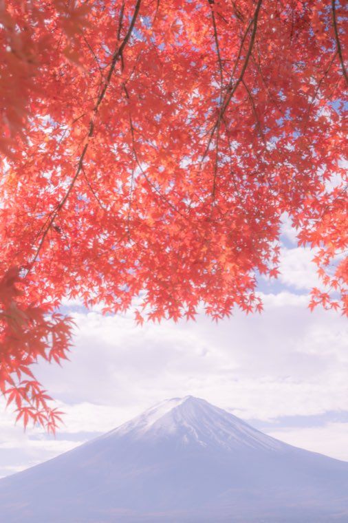 河口湖の富士と紅葉に 28 夢見の花明かり を適用した作例
