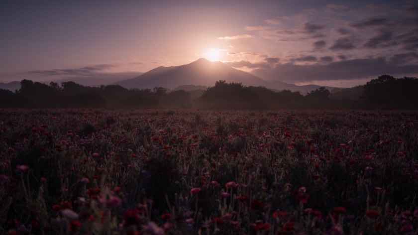 Diamond Tsukuba over the poppy fields of the Kokaigawa (Ibaraki) with preset 24 Twilight Hush