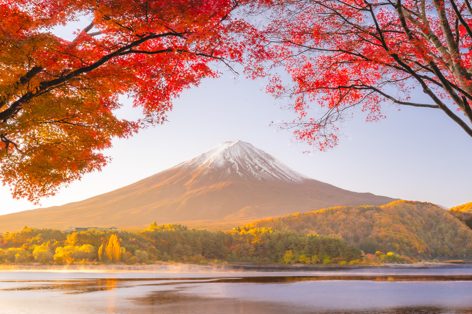 富士山ともみじ(山梨 ― 河口湖の秋)