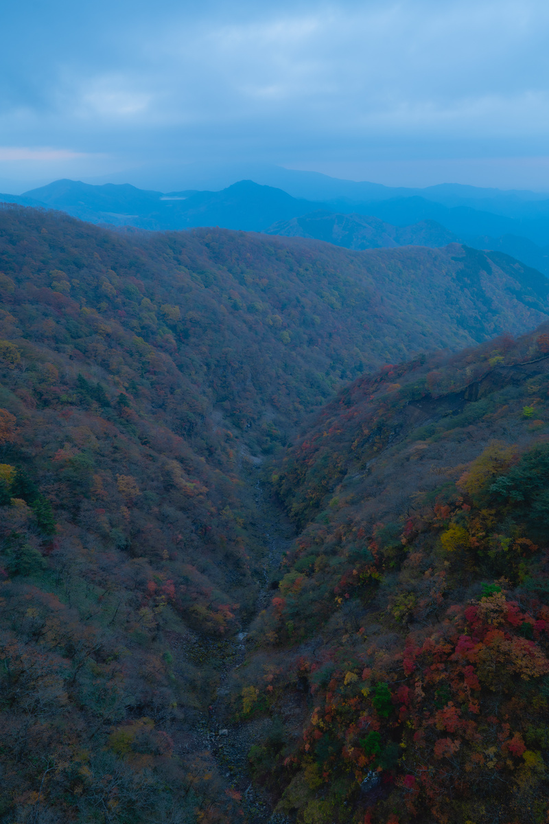 Autumn colour in the Roppozawa gorge at dusk, seen from the bridge above, with ridges receding into blue