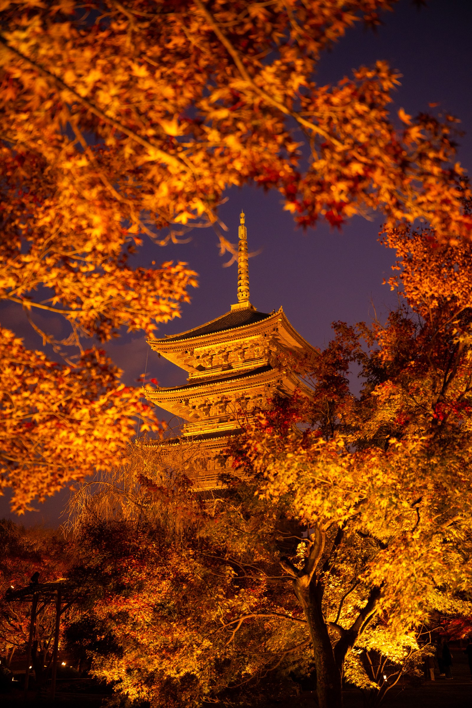 Toji Pagoda Night Maples