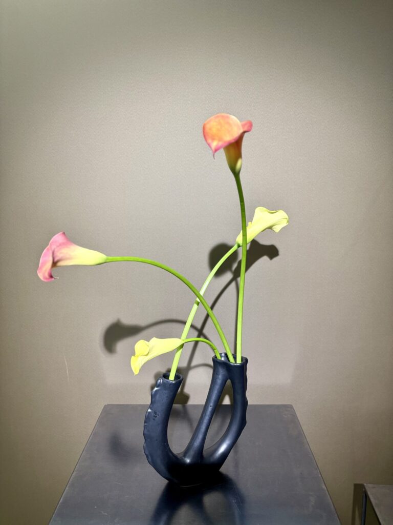 カラーを使った生け花作品
Ikebana works with color