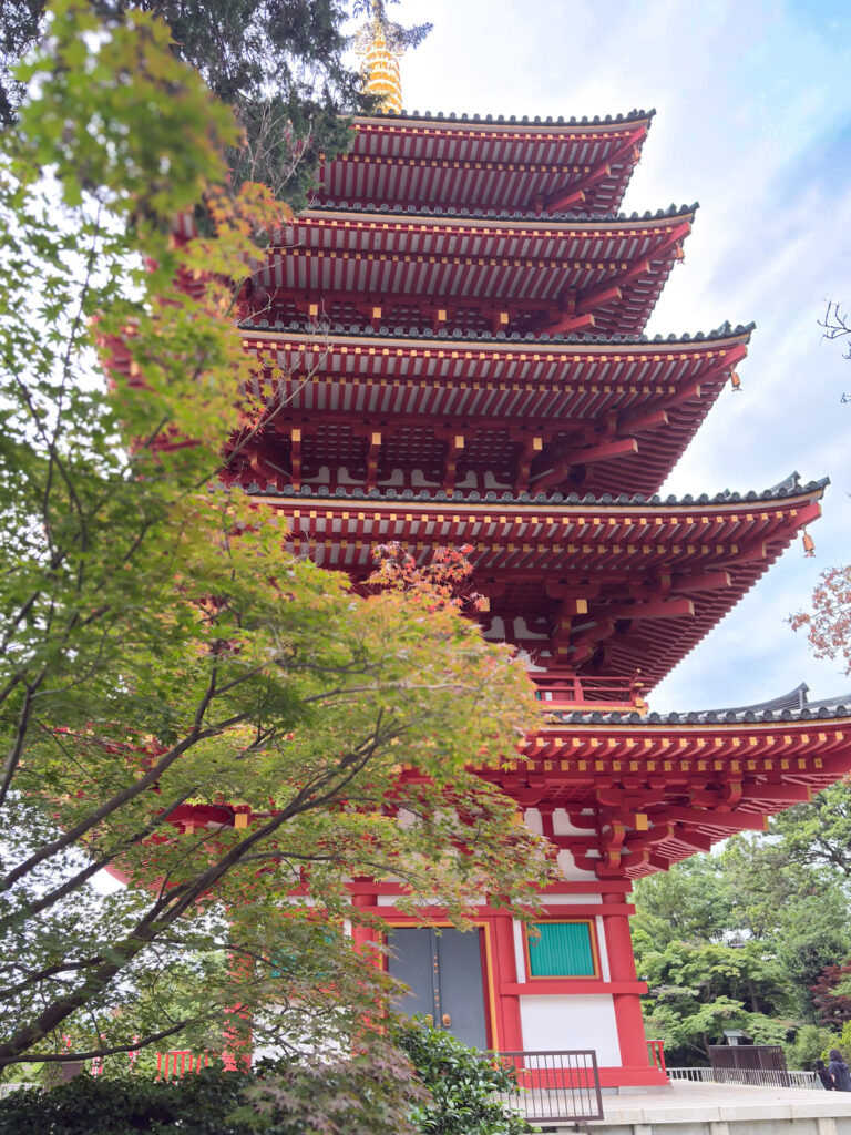 Contrast of green maple leaves and five-story pagoda