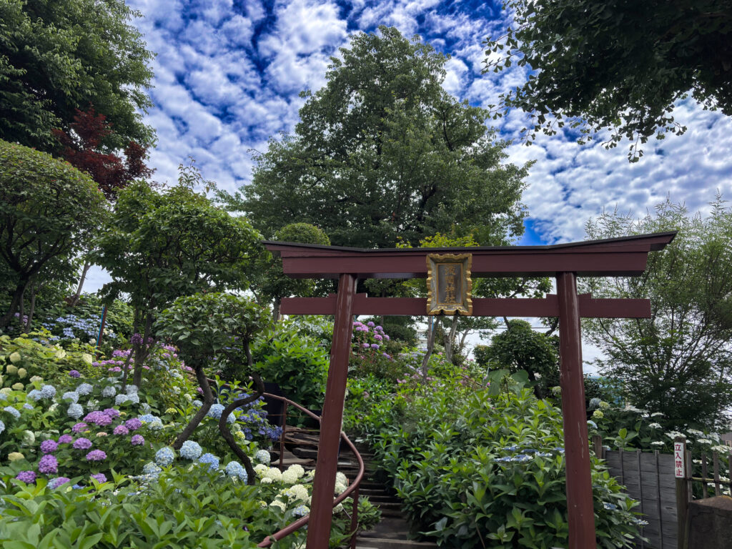 富士塚の赤い鳥居と登拝の順番を待つ人々
Red torii gate of Fuji-zuka and visitors lining up