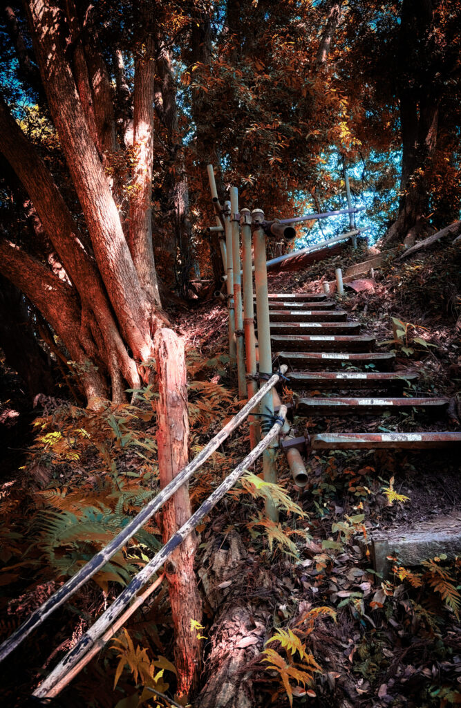 紅葉風の色調で写された山道の階段と竹の手すり
Rustic steps and bamboo handrails on a hillside path in autumn tones
