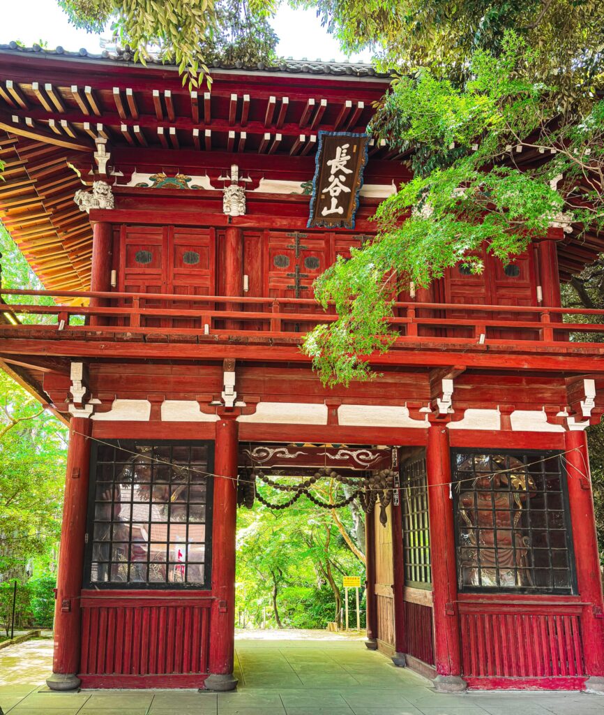 本土寺の仁王門と新緑が美しい初夏の風景
Hondoji’s Niomon Gate framed by fresh green leaves