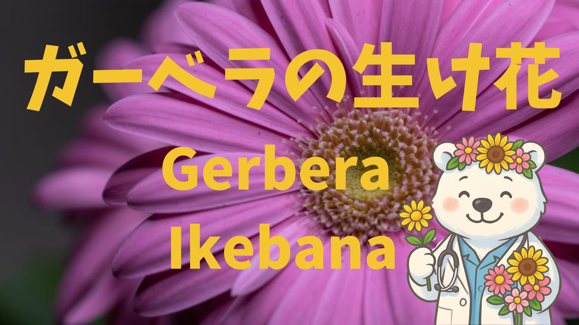 サンゴミズキとガーベラを使った冬のいけばな作品 / Ikebana arrangement with red twig dogwood and gerbera, expressing winter stillness
