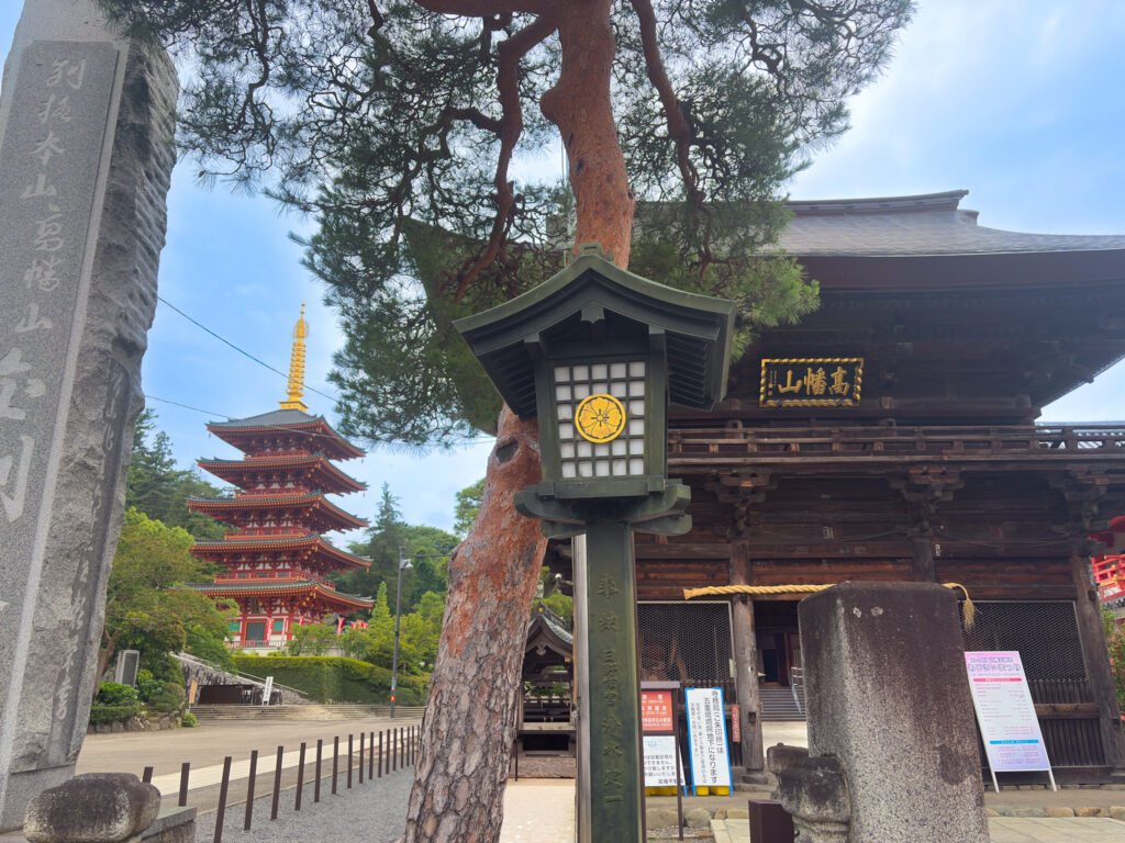 Main gate and five-story pagoda at Takahata Fudoson