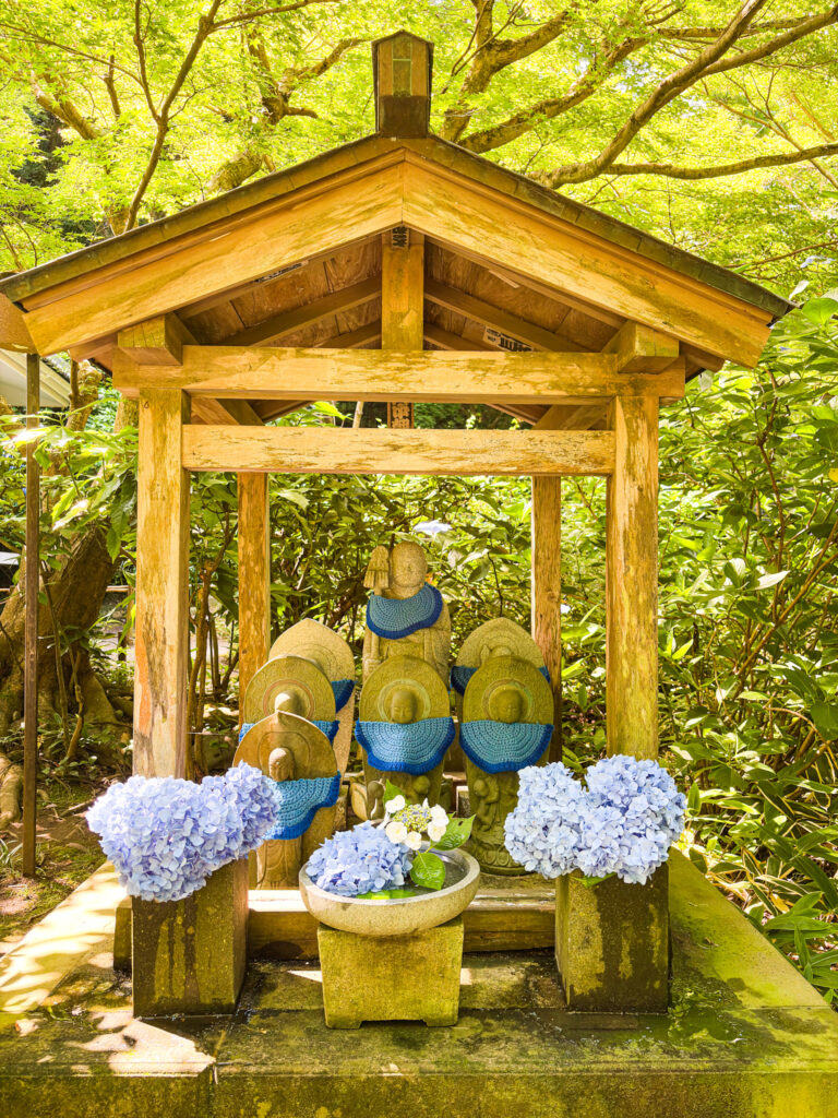 青い前掛けを身にまとい紫陽花に囲まれた地蔵たち / Group of Jizo statues with blue bibs surrounded by hydrangeas at Meigetsuin