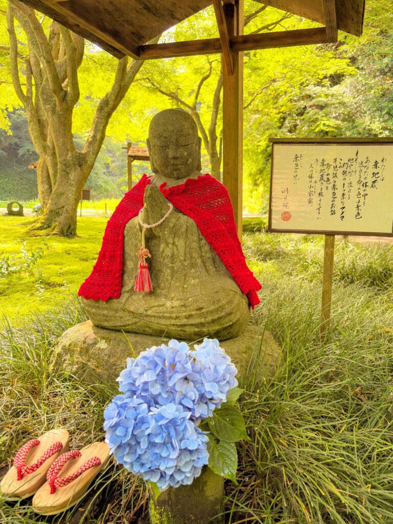 赤い前掛けと紫陽花に囲まれた明月院の地蔵像(赤地蔵) / Red-bibbed Jizo statue surrounded by hydrangeas at Meigetsuin (Red Jizo)