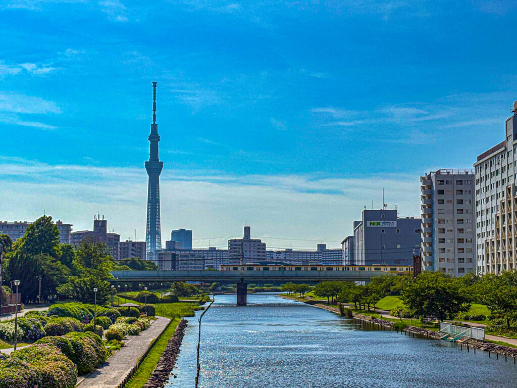 スカイツリーと旧中川の川辺、紫陽花が彩る都会の水景
Tokyo Skytree and Kyu-Nakagawa riverside with blooming hydrangeas