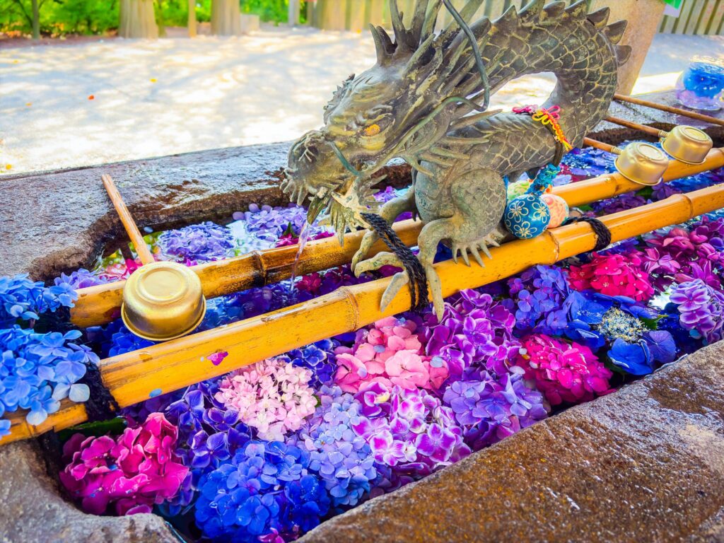 手水舎に浮かべられた色とりどりの紫陽花と龍の像
Colorful hydrangeas floating in a temple basin with a dragon statue