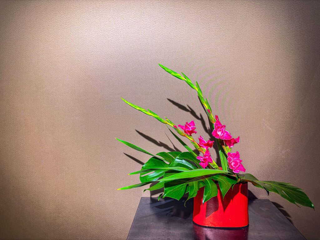 グラジオラスとモンステラを使った初夏の生け花作品(正面)
Ikebana arrangement with gladiolus and monstera for early summer (front view)