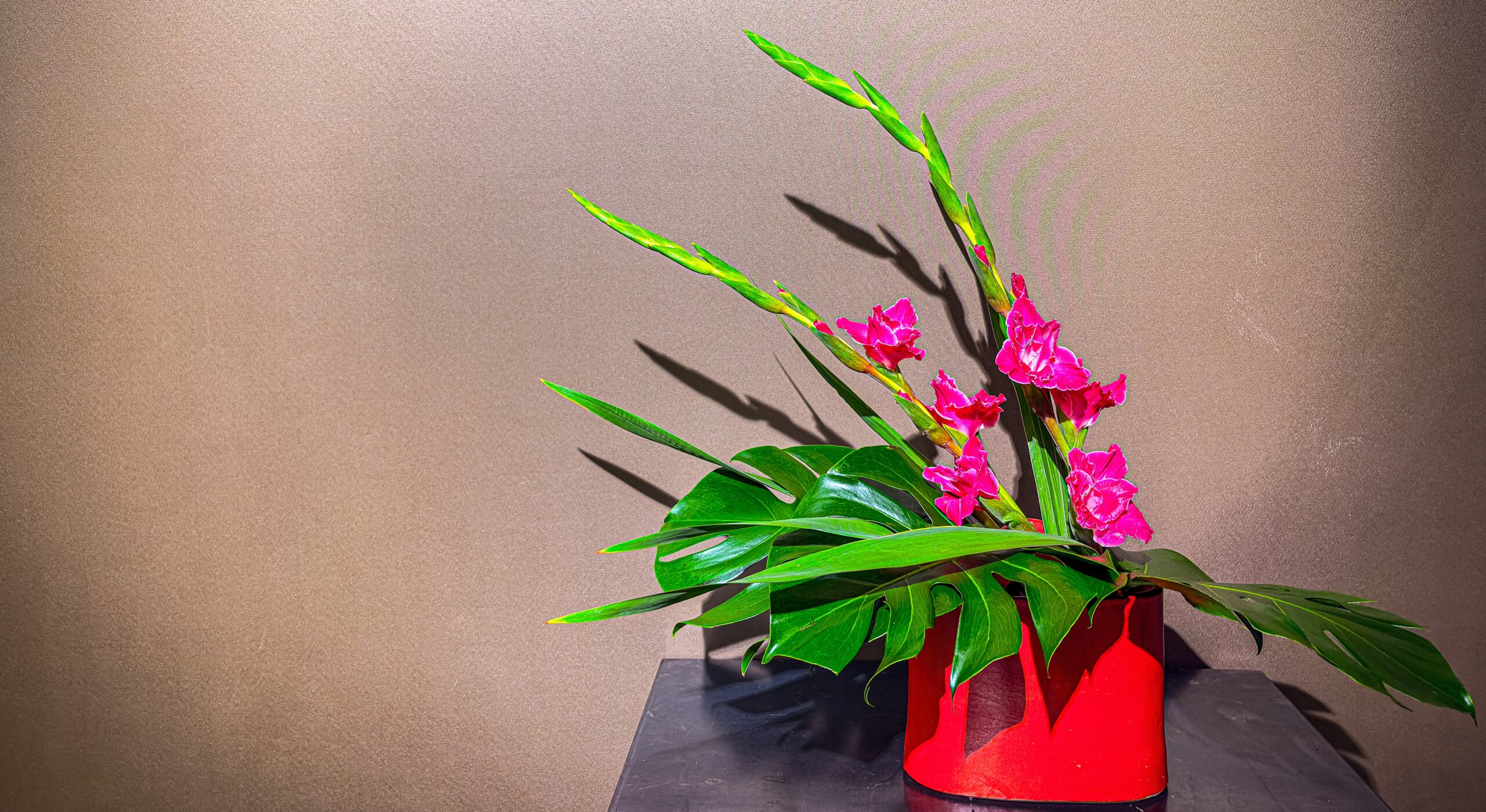 グラジオラスとモンステラを使った初夏の生け花作品（正面）	
Ikebana arrangement with gladiolus and monstera for early summer (front view)