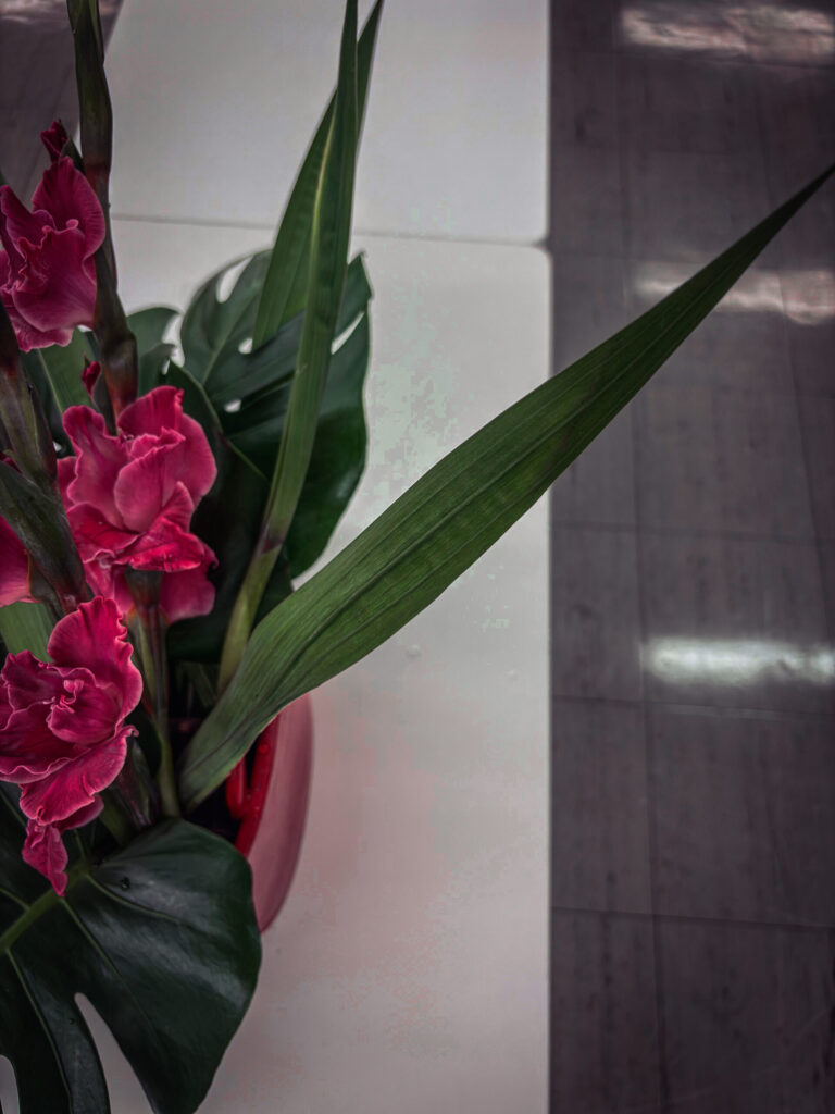 グラジオラスの葉で奥行きを出した生け花作品の側面
Side view of the ikebana showing depth with gladiolus leaves