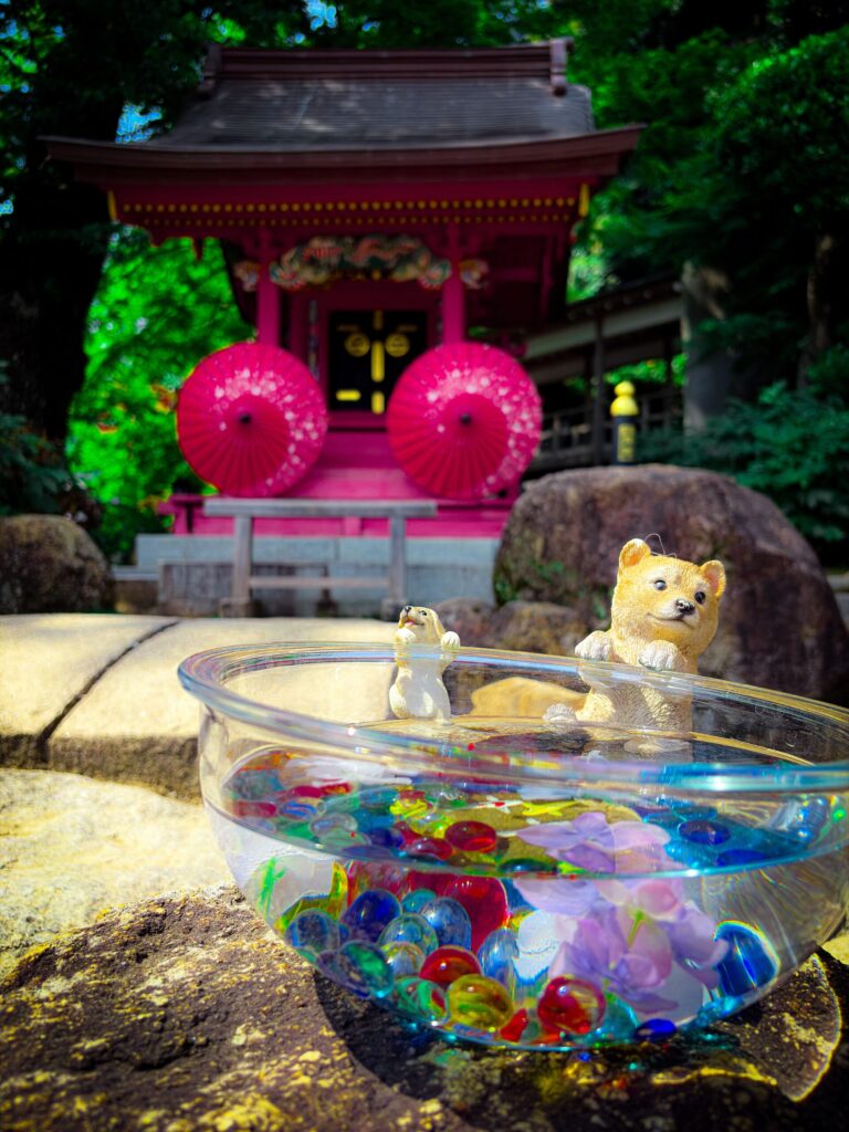 ピンク色の社殿前に飾られたビー玉と動物の置物
Animal figurines and glass bowl in front of a pink shrine building