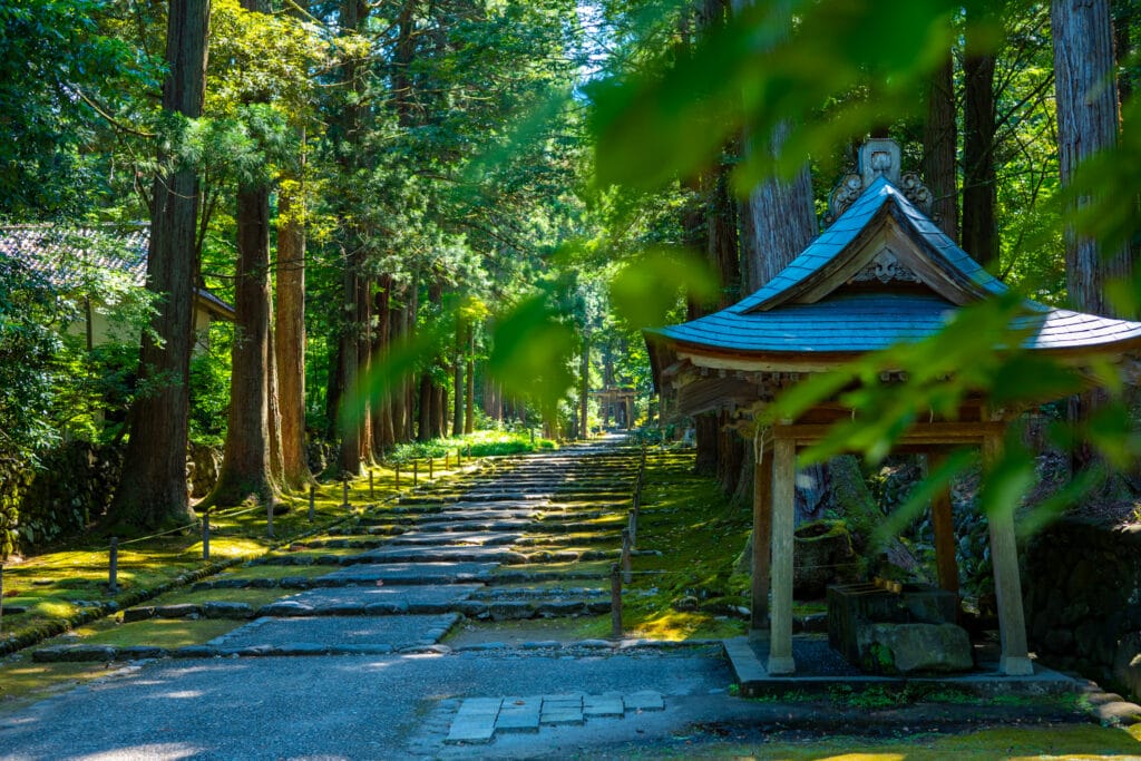 平泉寺白山神社の杉並木の参道と手水舎。
