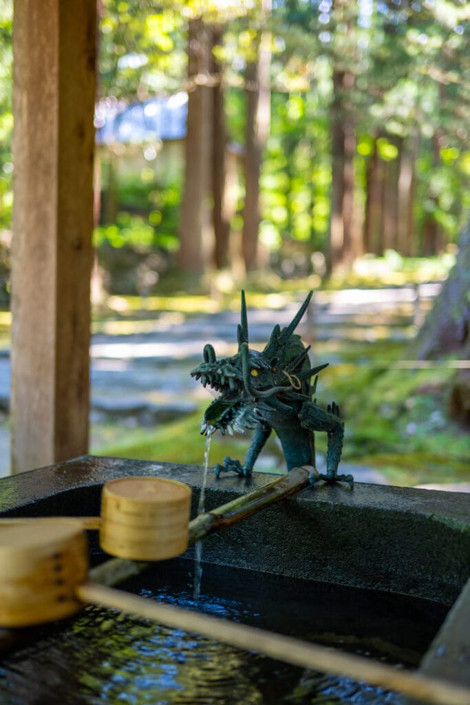 平泉寺白山神社の手水舎にある龍の水口から水が流れ落ちる様子。
