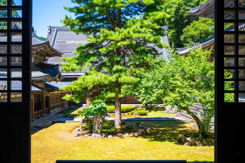 永平寺の回廊から望む中庭の景色。松の木と新緑が夏の光に輝く
