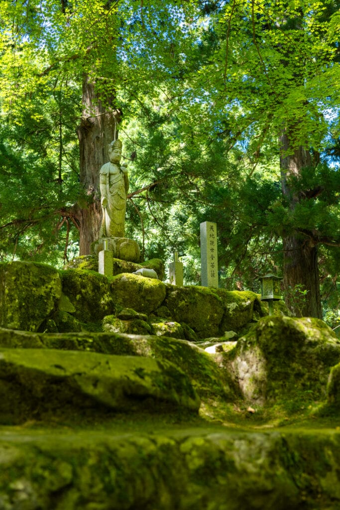 永平寺の苔むした石段と観音像。深い緑に包まれた静かな佇まい

